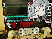 GPU